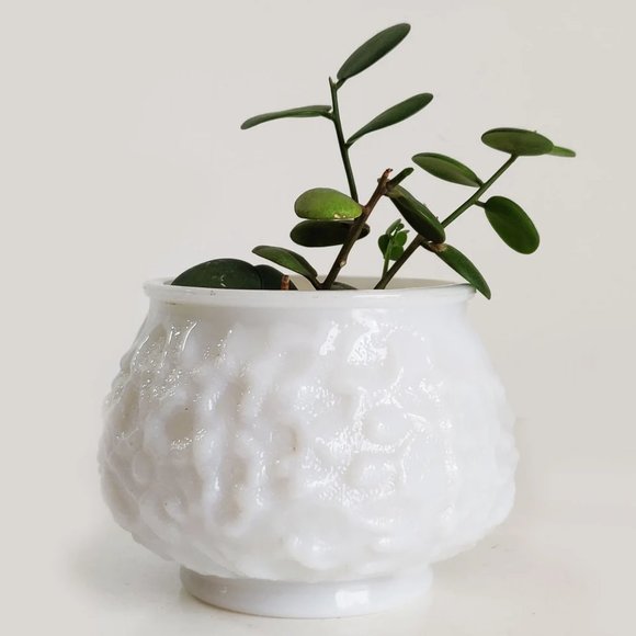 VINTAGE EO Brody White Milk Glass | Planter | Floral Vase - Picture 6 of 6